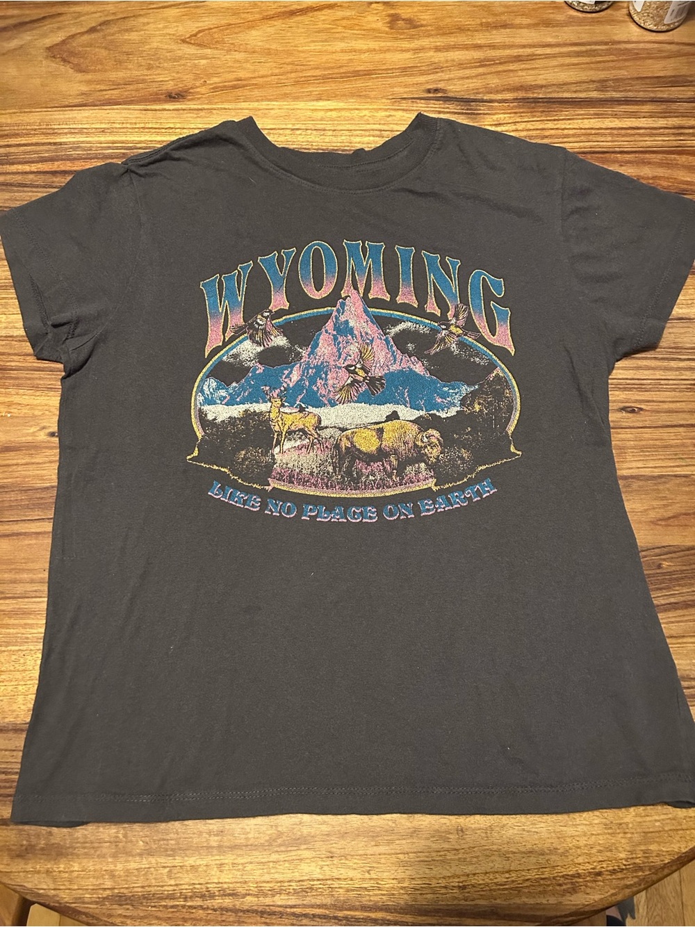 Wyoming Graphic Tee - Grey Women's Short Sleeve Top